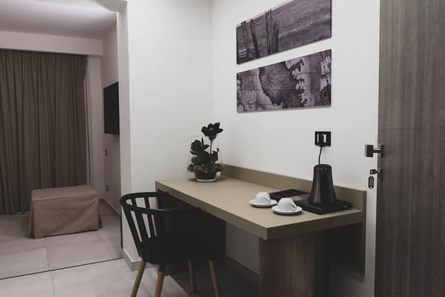 Business Double Room Single Use