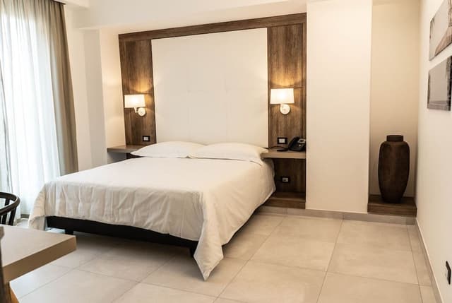 Business Double Room Single Use