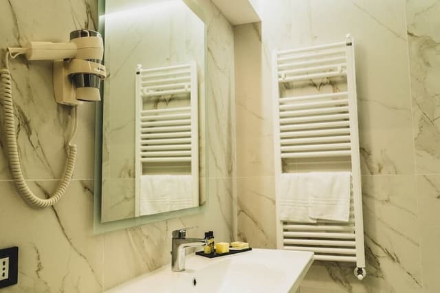 Business Double Room Single Use