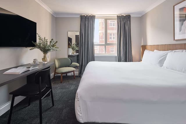 Deluxe King Room