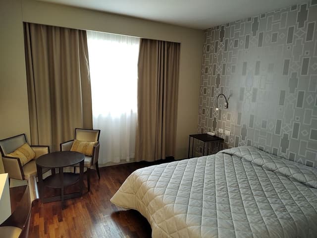 Standard Double Room Single Use