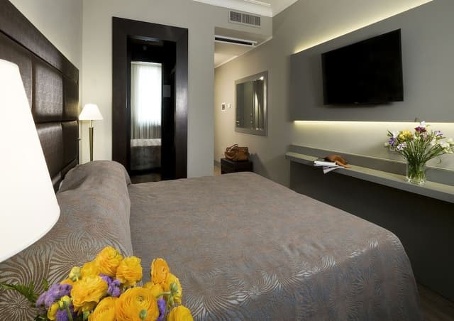 Superior Double or Twin Room (no smoking)