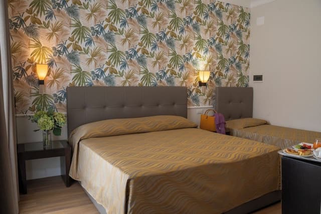 Superior Double or Twin Room (no smoking)