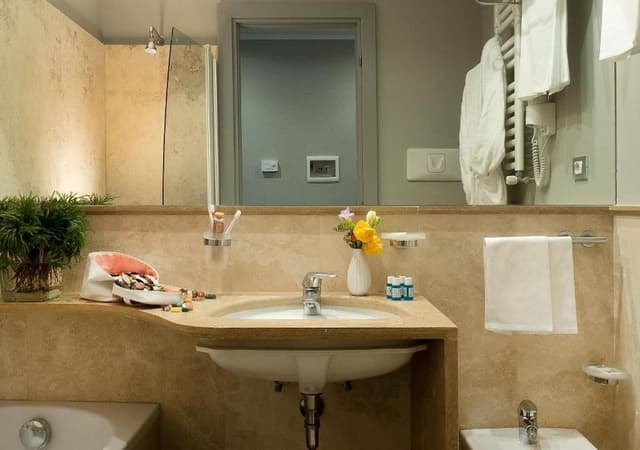 Superior Double or Twin Room (no smoking)