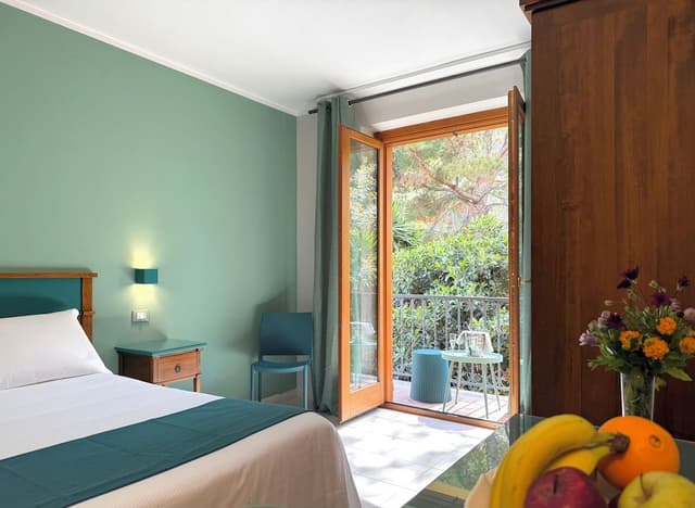 Comfort Double or Twin Room, Mountain View