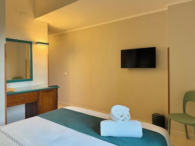 Basic Double or Twin Room