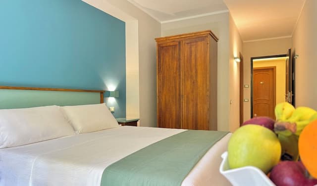 Comfort Double or Twin Room, Mountain View