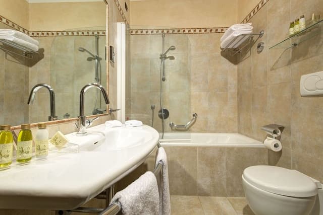 Executive Double or Twin Room