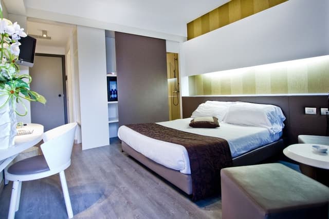 Superior Double or Twin Room