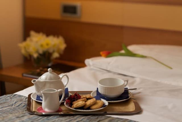 Executive Room, 1 King Bed, Non Smoking (Converts to 2 Twin Beds)