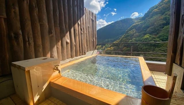 [Main Building 11F with Open Air Bath] Premier View Suite, 37sqm, Non Smoking