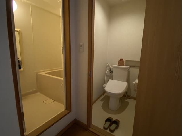 Japanese Style Room with Private Bathroom, Non Smoking [18 sqm]