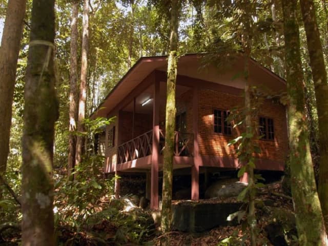2 Bedroom Cabin for 6 People