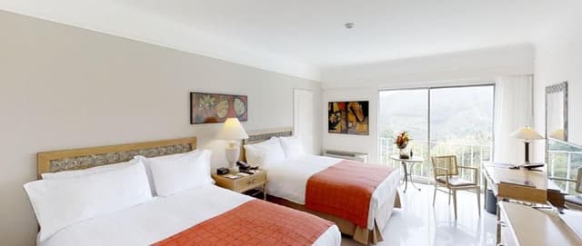 Superior Double or Twin Room