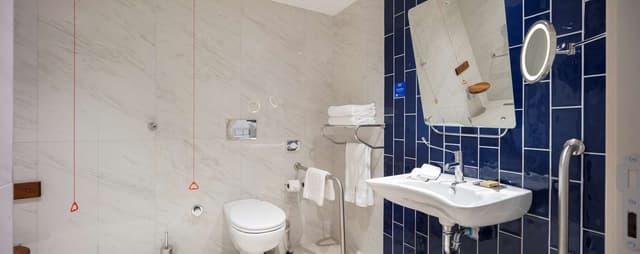 KING ACCESSIBLE ROOM