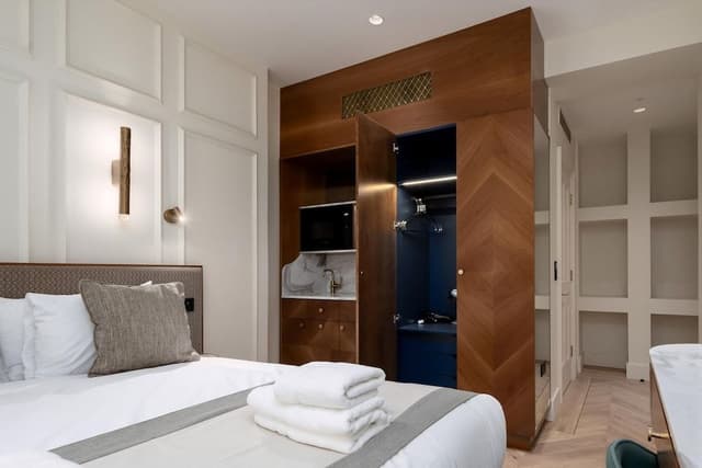 Apartment (Deluxe Double Room)