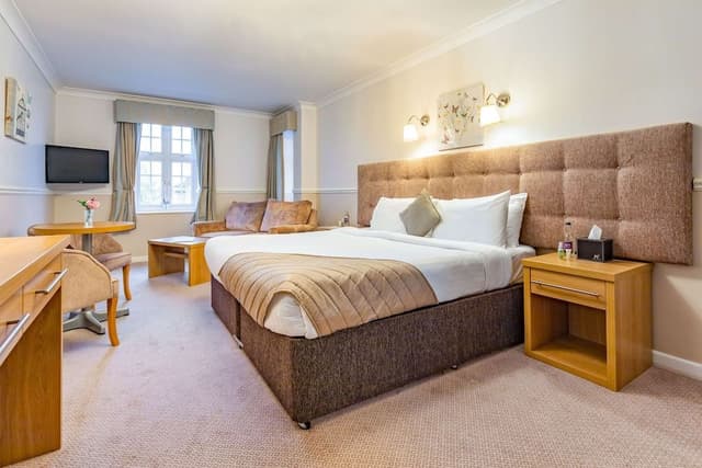 Superior Room, 1 King Bed, Non Smoking