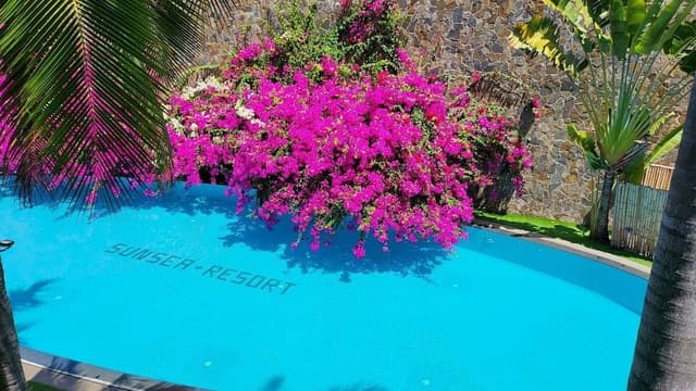 Pool View Suite