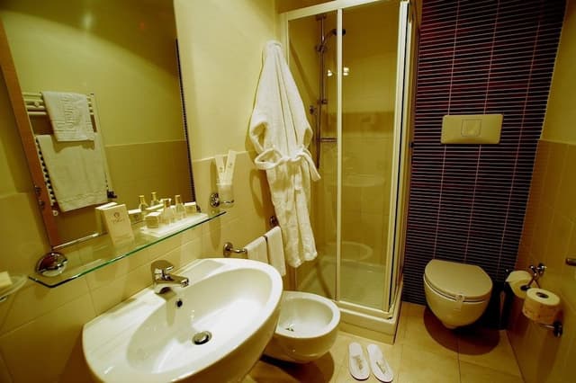 Deluxe Double Room Single Use