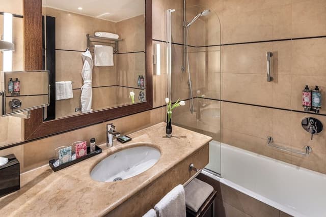 Superior Double or Twin Room