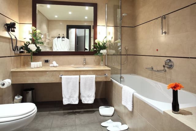 Superior Double or Twin Room