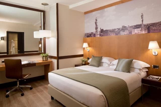 Superior Double or Twin Room
