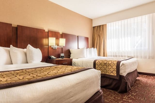 Standard Room, 2 Queen Beds