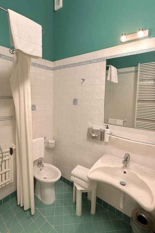 Room, 1 King Bed, Roll-in Shower (Accesso per sedia a rotelle)