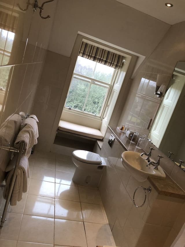 Suite, 1 King Bed