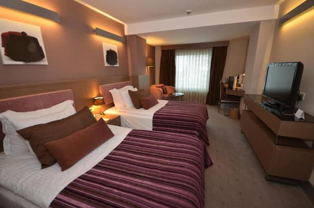 Deluxe Double or Twin Room - Free Access to Spa