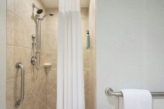 Room, 1 King Bed with Sofa bed (Mobility Accessible, Roll-In Shower)