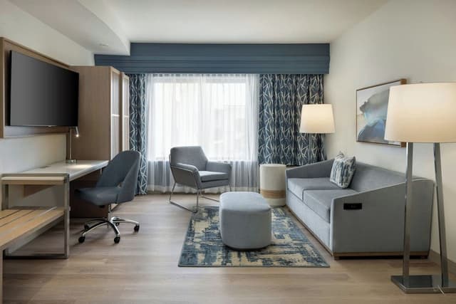 Suite, 1 King Bed with Sofa bed (Mobility Accessible, Tub)