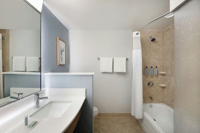 Suite, 1 King Bed with Sofa bed (Mobility Accessible, Tub)