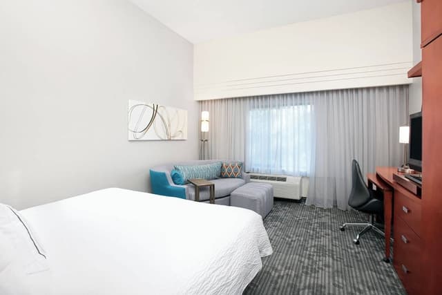 Room, 1 King Bed with Sofa bed