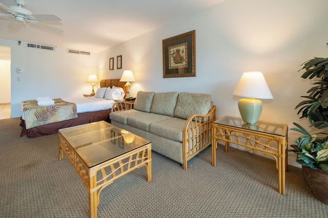 Studio, Garden View