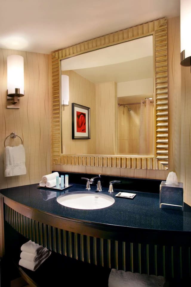 1 KING BED JUNIOR SUITE