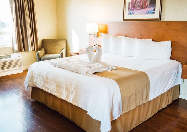 Executive Suite, 1 King Bed
