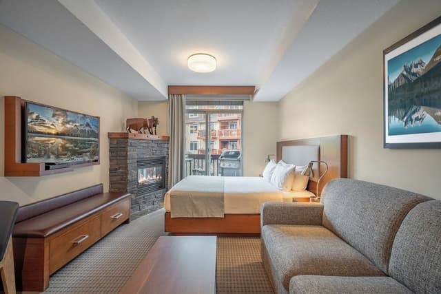 Studio, 1 King Bed with Sofa bed