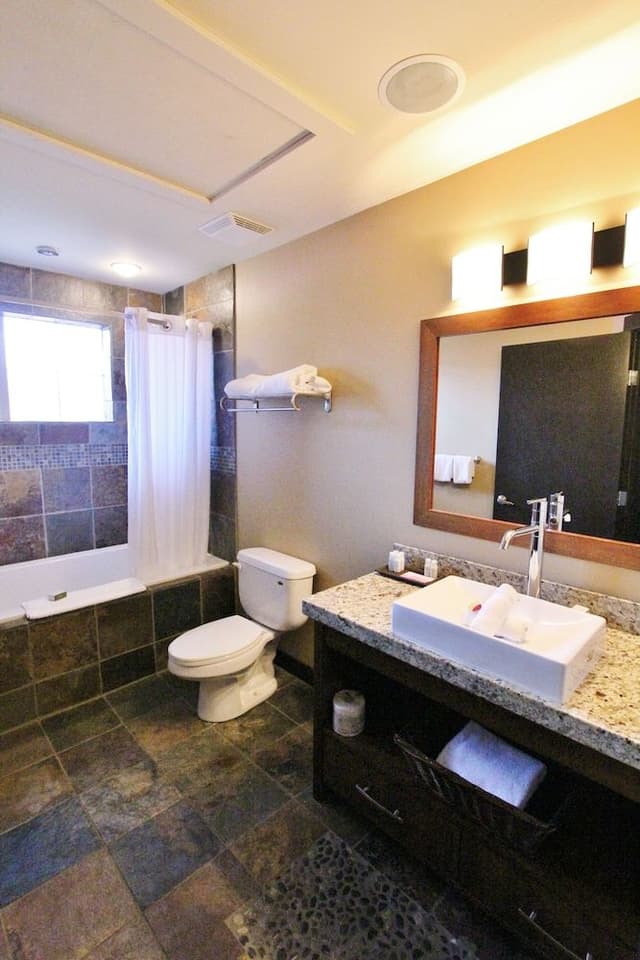 Deluxe Room, 1 King Bed