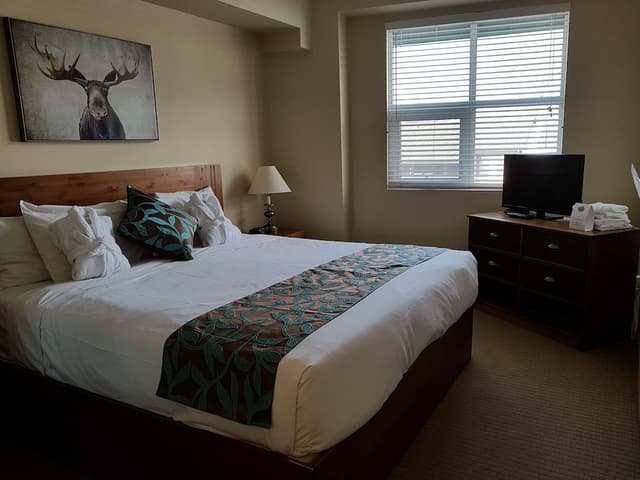 Luxury Condo, 2 Bedrooms, Accessible, Jetted Tub