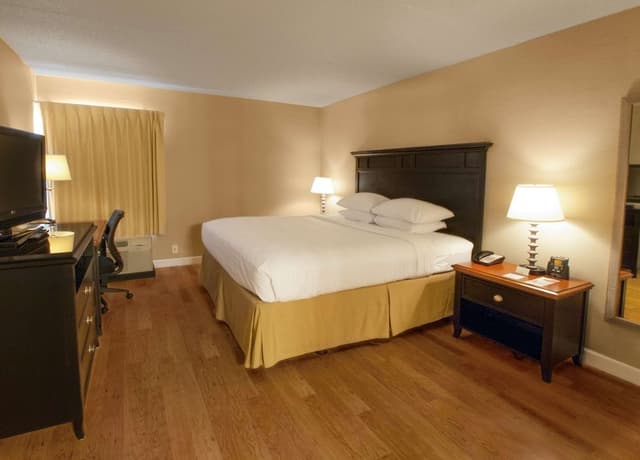 Standard Room, 1 King Bed
