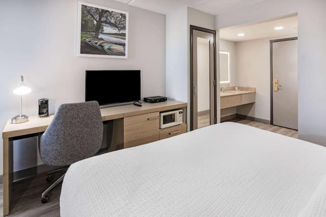 1 King Bed, Mobility Accessible Room, Walk-In Shower w/ Grab Bars, Non-Smoking