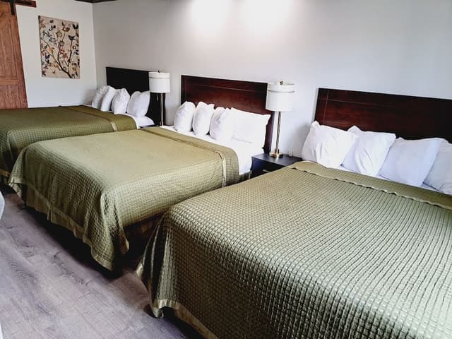 Basic Triple Room
