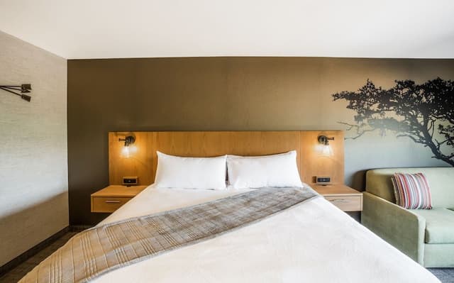 Elite Room, 1 King Bed with Sofa bed, Refrigerator & Microwave, Desert View
