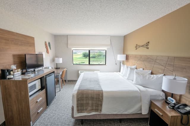 Traditional Room, 1 King Bed, Refrigerator & Microwave, Desert View