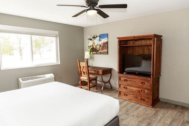 Standard Room, 1 King Bed, Refrigerator & Microwave