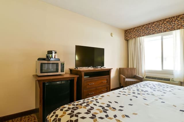 Superior Room, 1 King Bed, Non Smoking