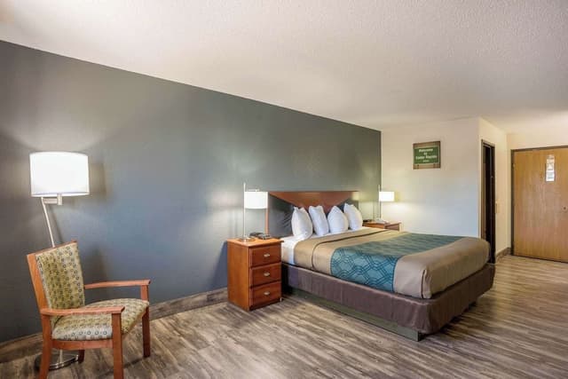 Room, 1 King Bed, Non Smoking