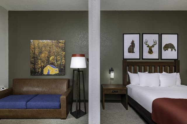 Luxury King Suite - Water Park Included