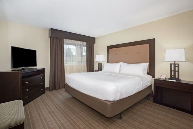 Suite, 1 King Bed